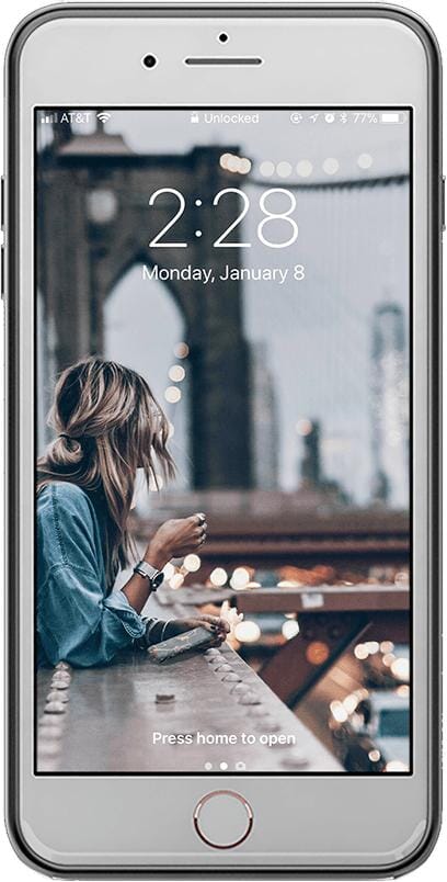 Hear Me Roar | Blush Lion Case