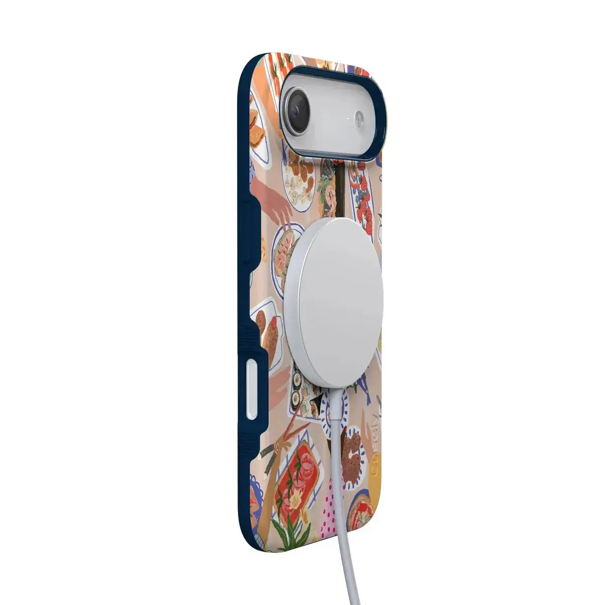 Picnic Party | Painted Collage Case
